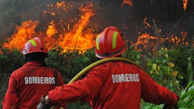 Alto minho quer investir um milhão de euros na prevenção de incêndios