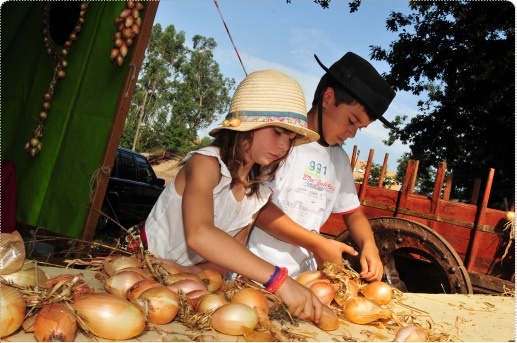 Feira das cebolas no parque de campismo de gondifelos, em famalicão