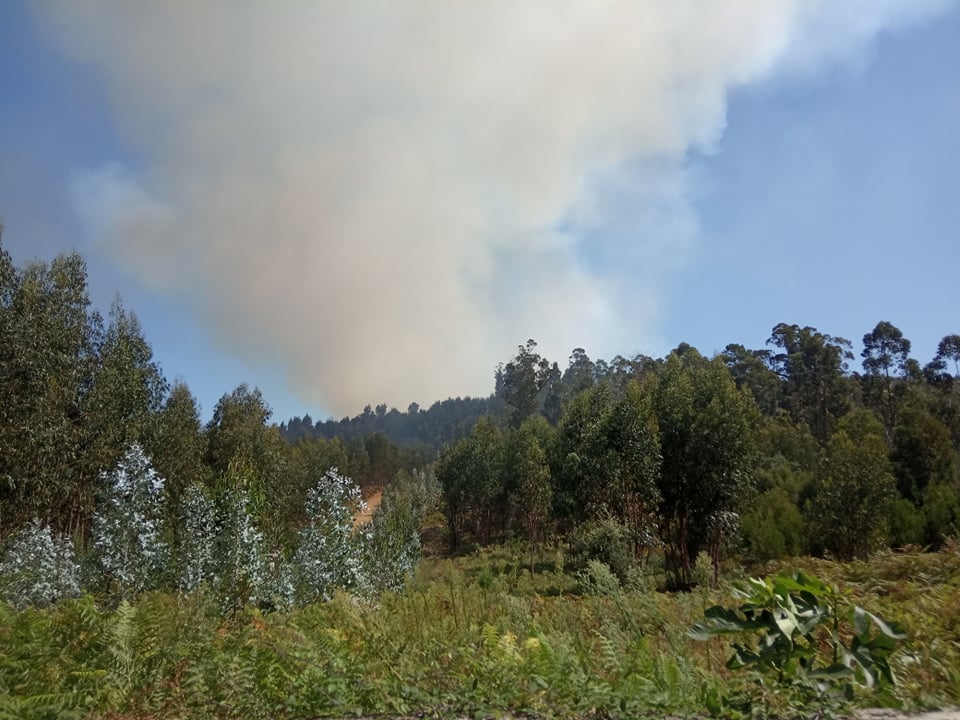 Mais de 60 bombeiros combatem chamas entre barcelos e vila verde 6 Mais de 60 bombeiros combatem chamas entre barcelos e vila verde