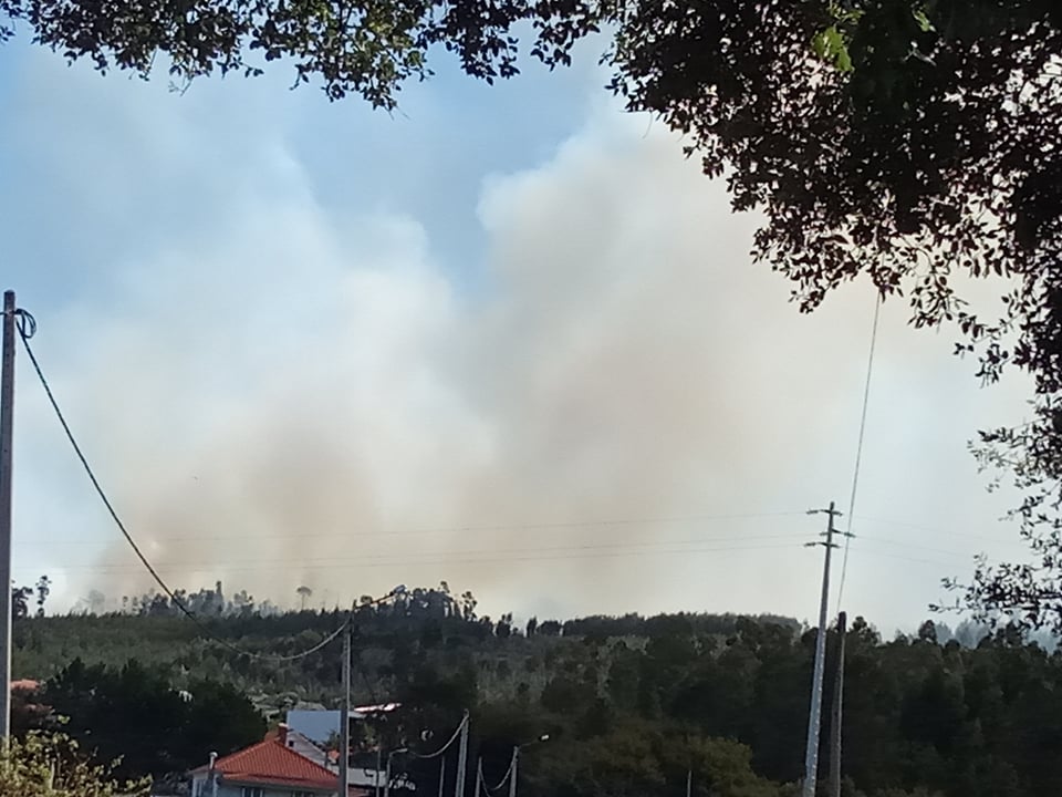 Mais de 60 bombeiros combatem chamas entre barcelos e vila verde 5 Mais de 60 bombeiros combatem chamas entre barcelos e vila verde