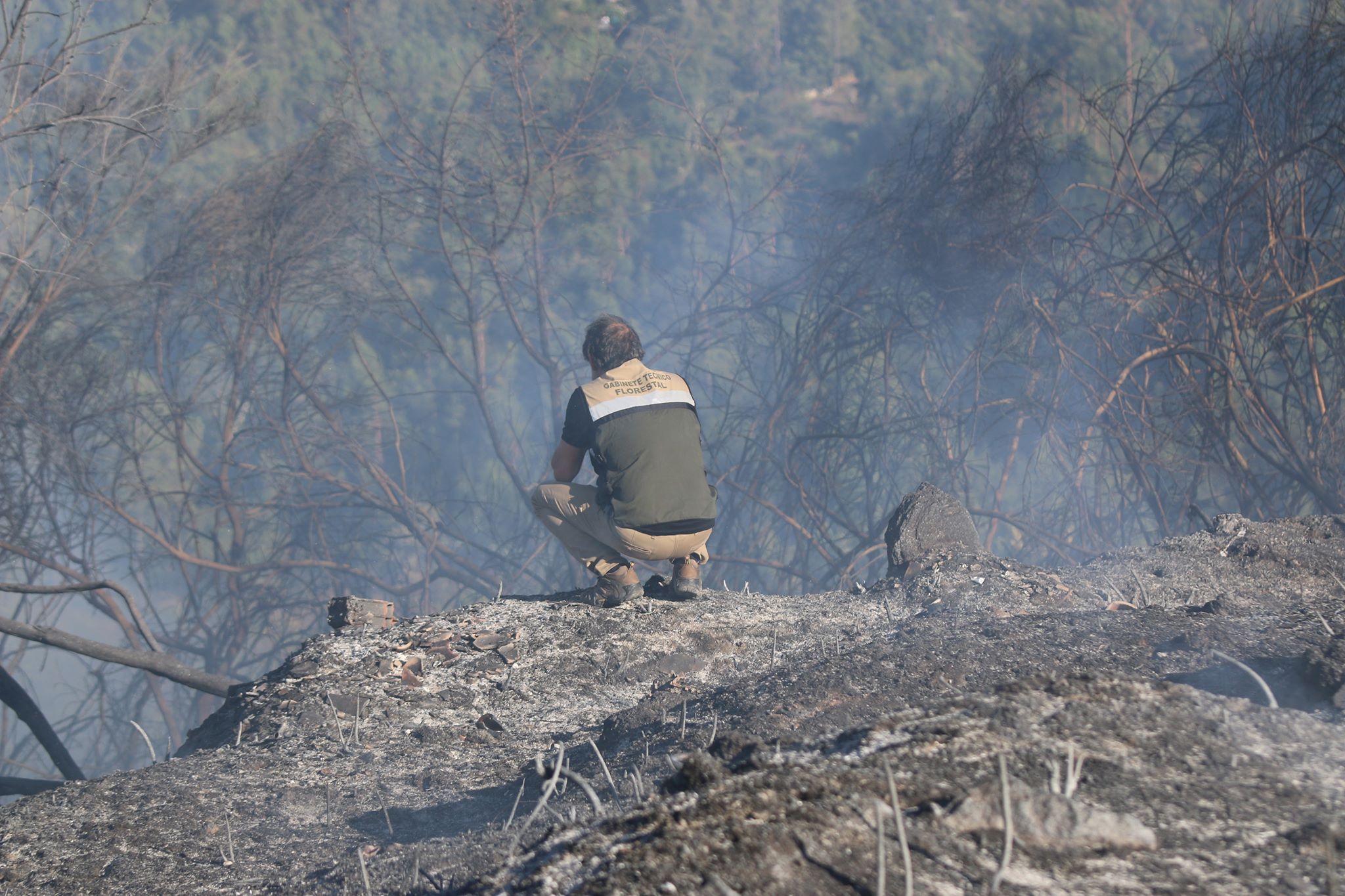 Incêndio em cabeceiras de basto rondou habitações 11 Incêndio em cabeceiras de basto rondou habitações