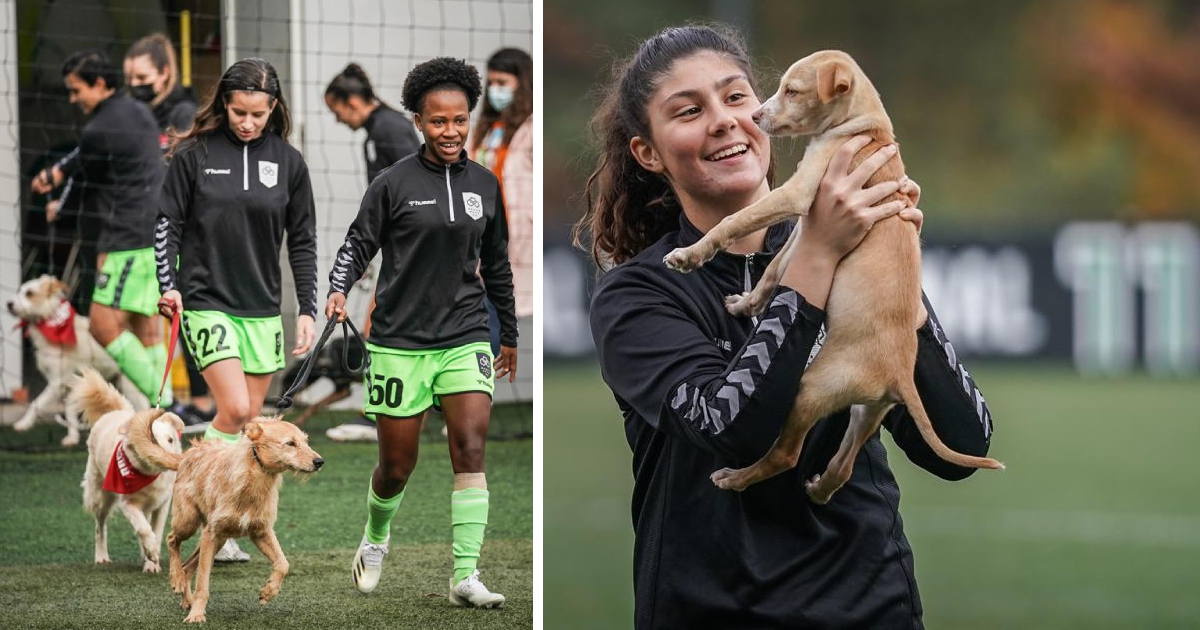 Jogadoras do vilaverdense entram em campo acompanhadas de cães para apelar à adoção
