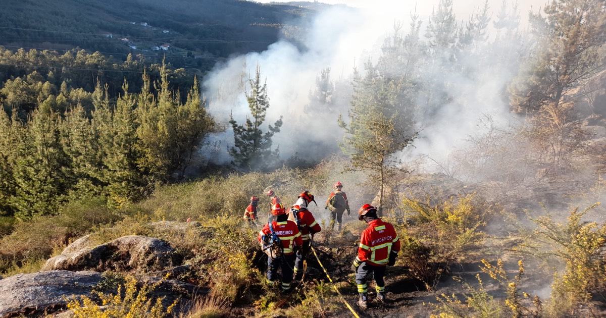 Incêndio noturno em braga ardeu mais de 10 horas e consumiu 20 hectares