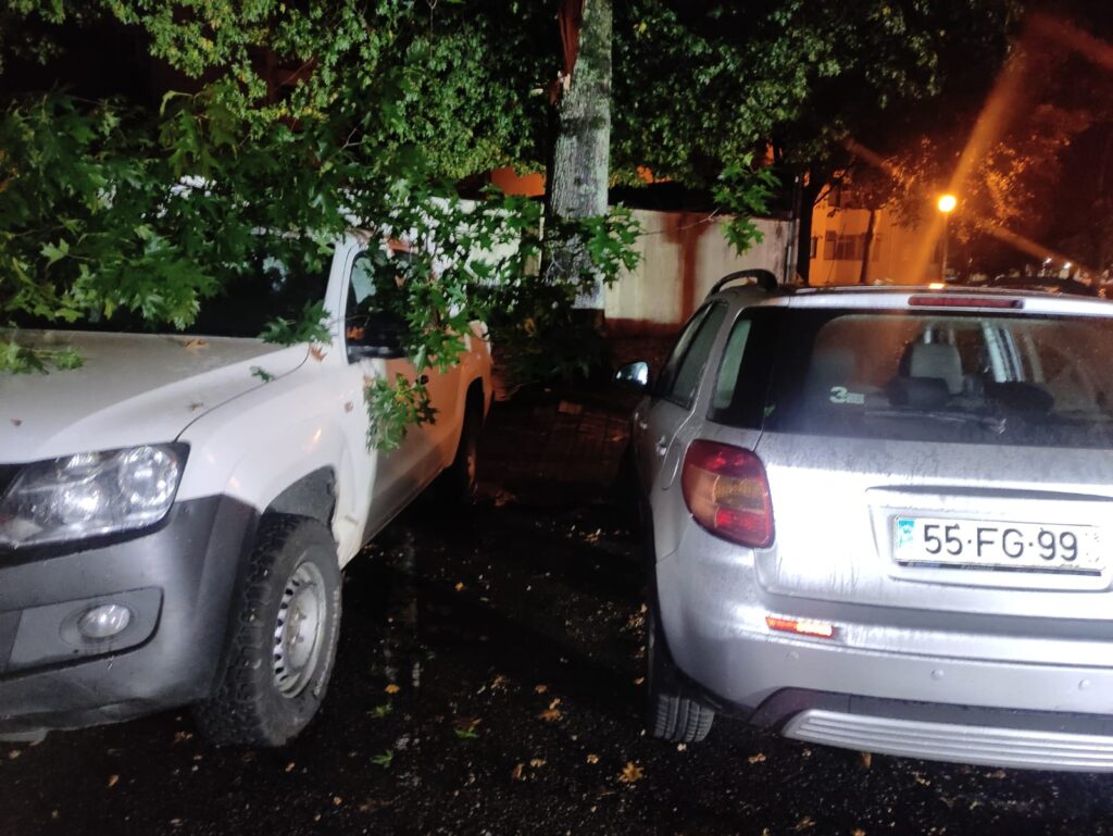 Queda de árvore danifica cinco carros em braga
