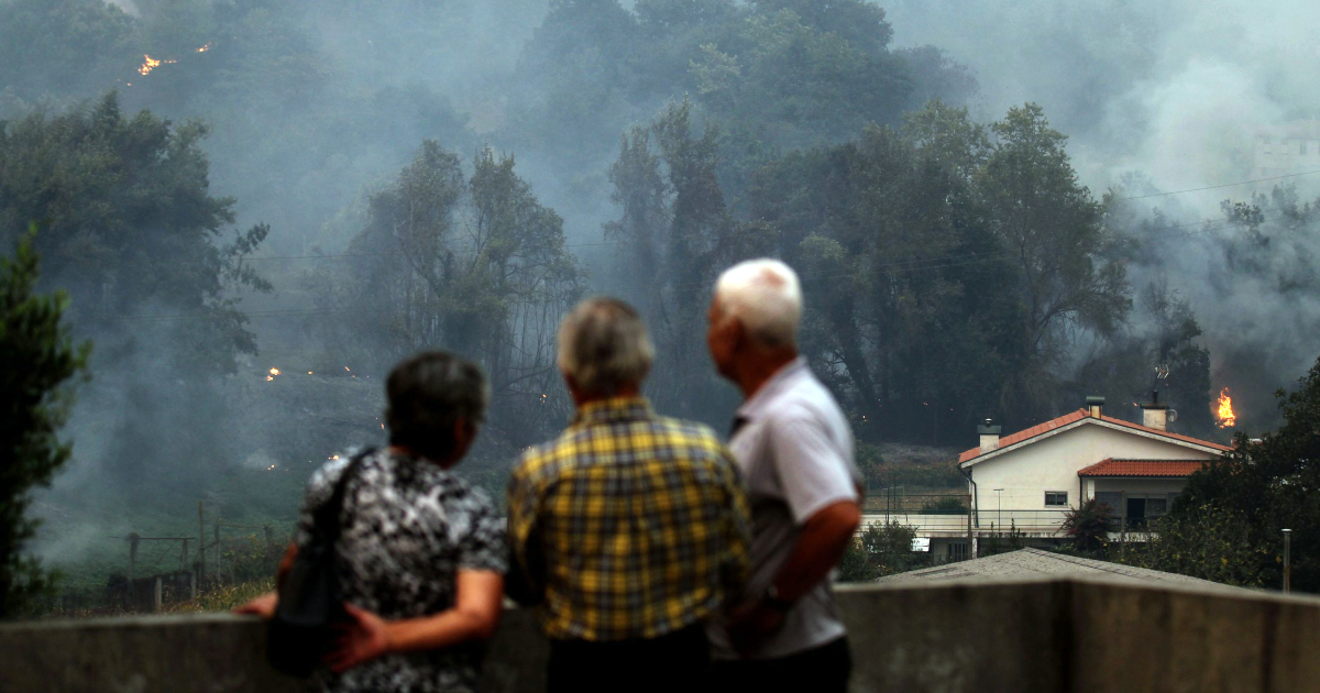 'pulmão' de braga ardeu há cinco anos. O que fez a câmara para tentar evitar nova desgraça