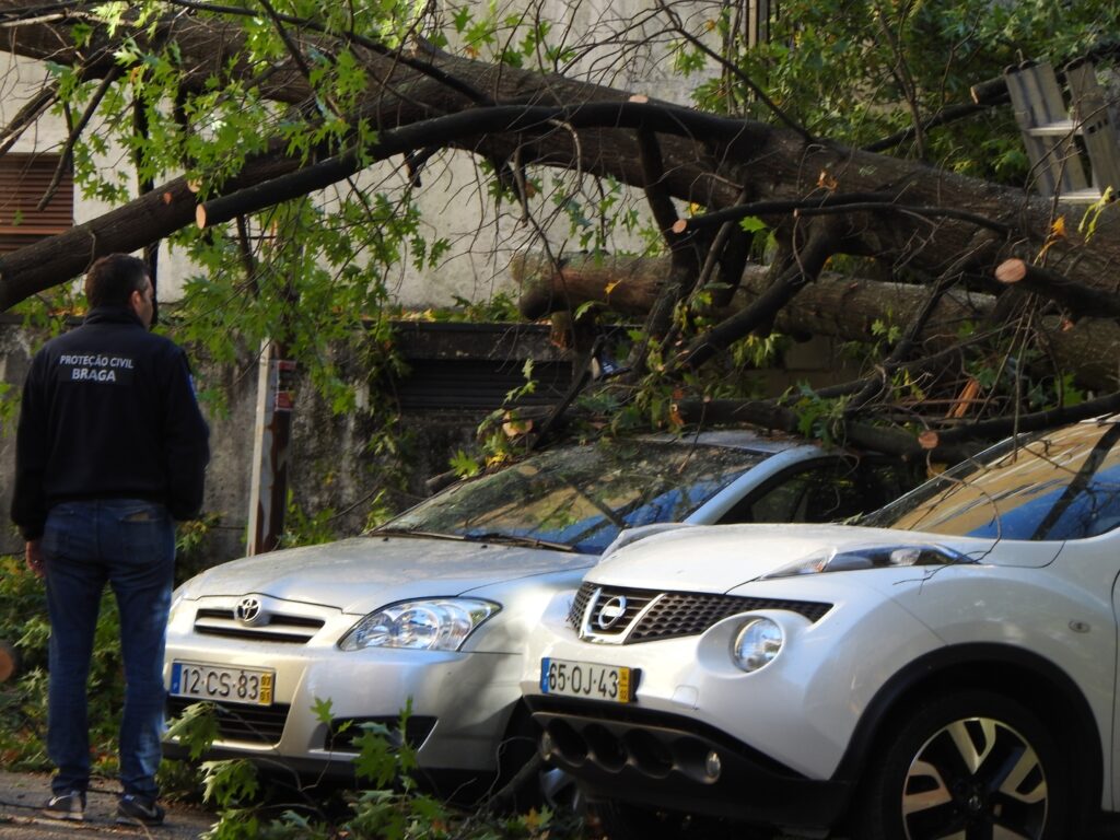 Queda de árvore danifica cinco carros em braga