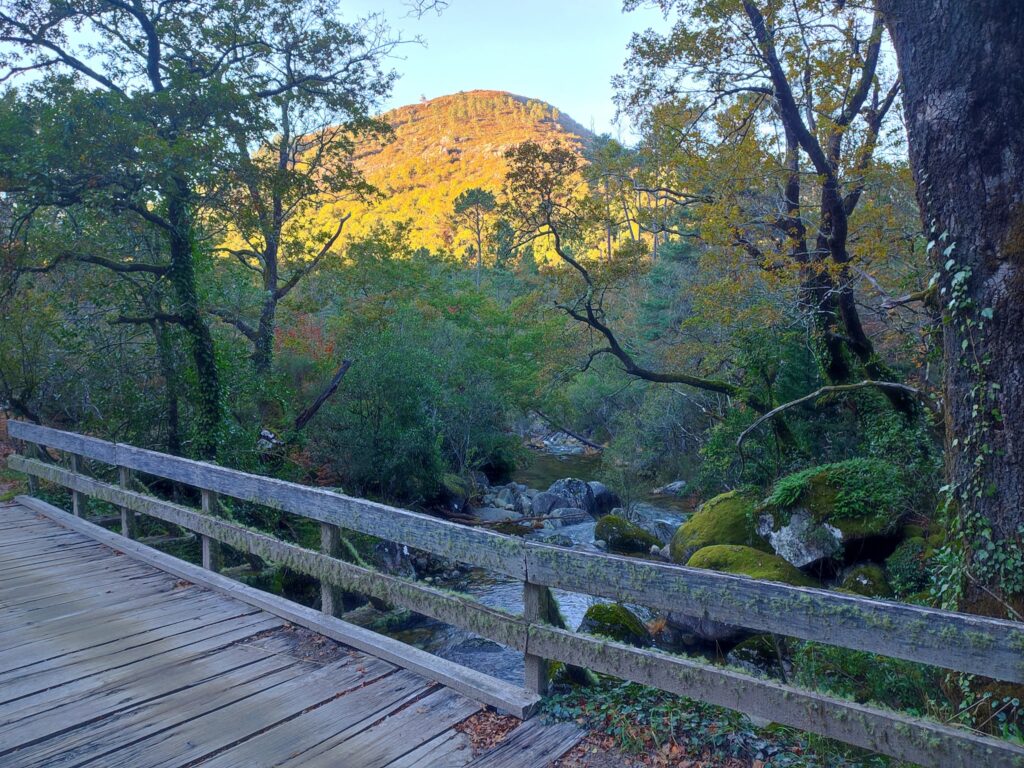 Outono chegou e as redes sociais já mostram os bosques "encantados" do gerês 16 Outono chegou e as redes sociais já mostram os bosques "encantados" do gerês