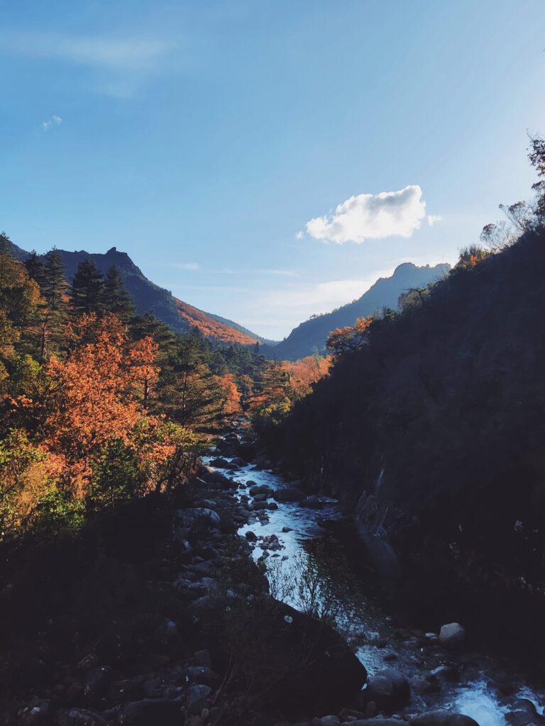 Outono chegou e as redes sociais já mostram os bosques "encantados" do gerês 21 Outono chegou e as redes sociais já mostram os bosques "encantados" do gerês