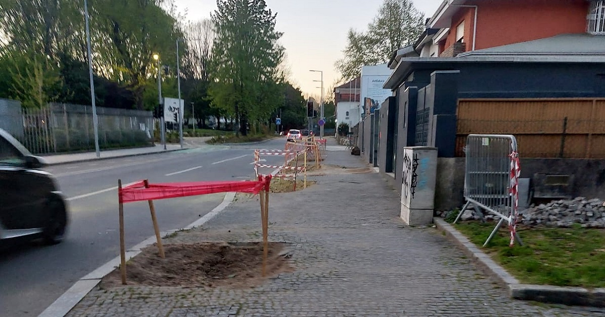 Pan questiona abate de árvores no centro de famalicão