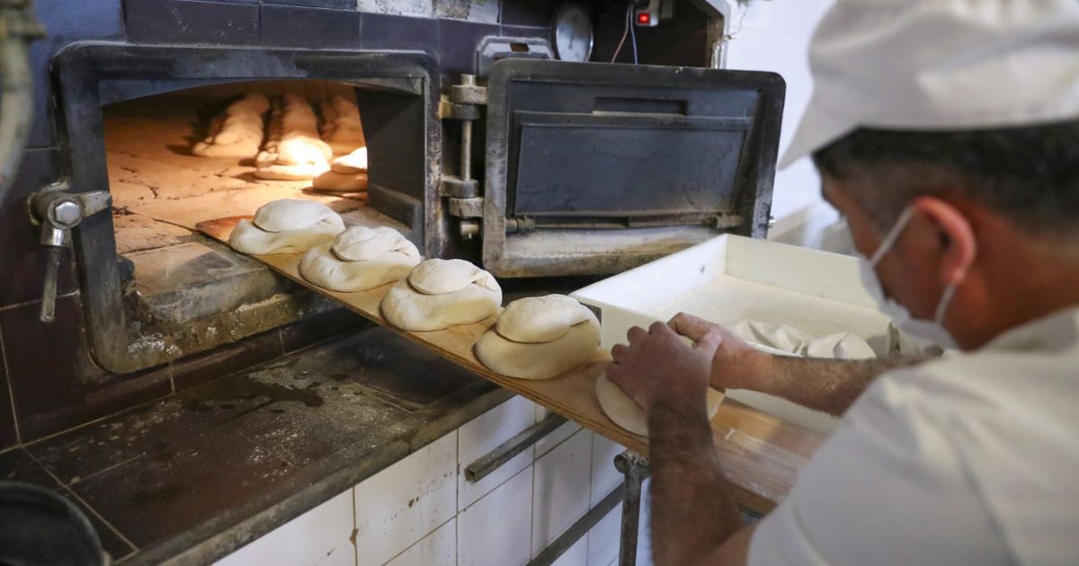 Estudo propõe substituição do sal no pão por planta halófita