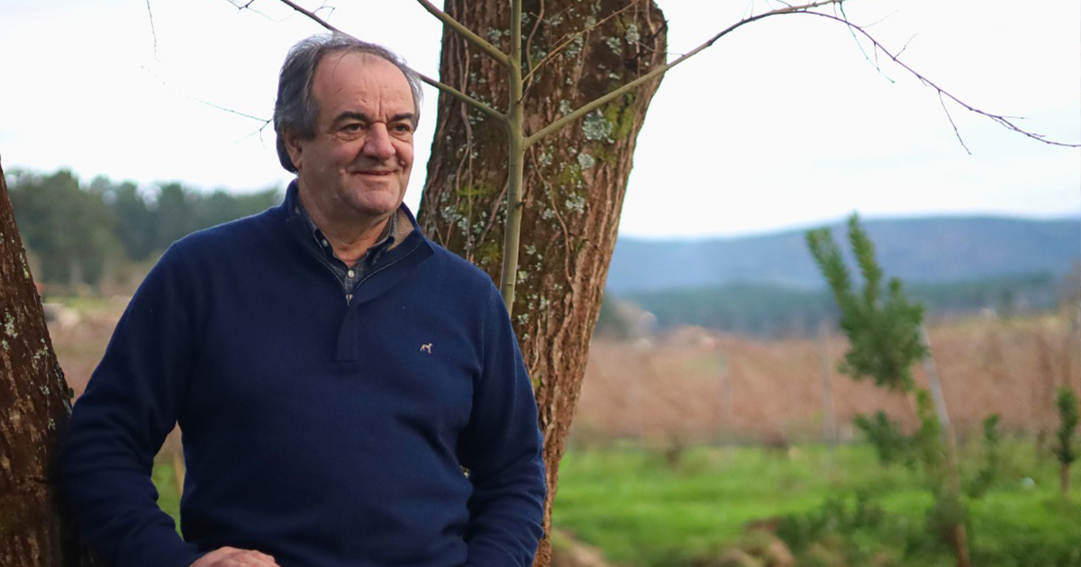 Anselmo mendes, o 'senhor alvarinho', pede denominação de origem para monção e melgaço