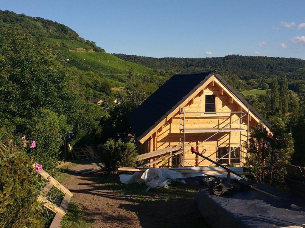Empresário de Braga constrói em madeira: um T2 custa cem mil euros e dura  uma vida