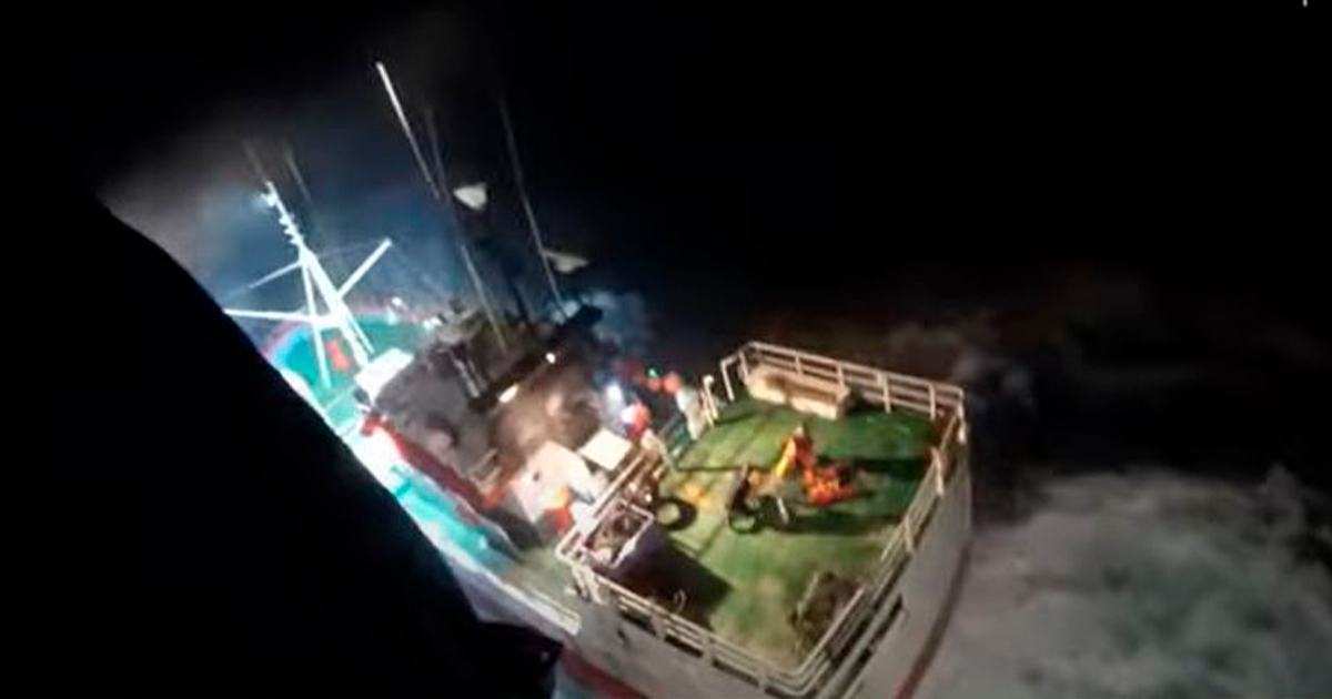 Vídeo mostra resgate do pescador mordido por tubarão em vila do conde