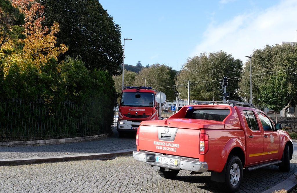 Árvore de grande porte em risco de queda foi abatida em viana do castelo 6 Árvore de grande porte em risco de queda foi abatida em viana do castelo
