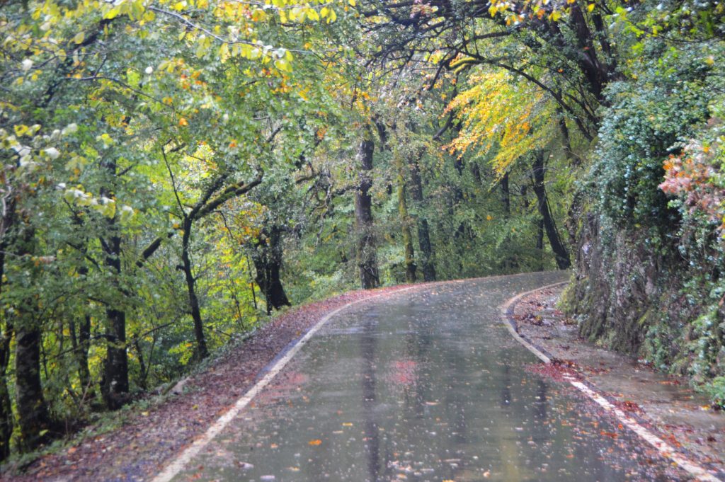 Redes sociais já mostram os bosques “encantados” do gerês no outono 22 Redes sociais já mostram os bosques “encantados” do gerês no outono