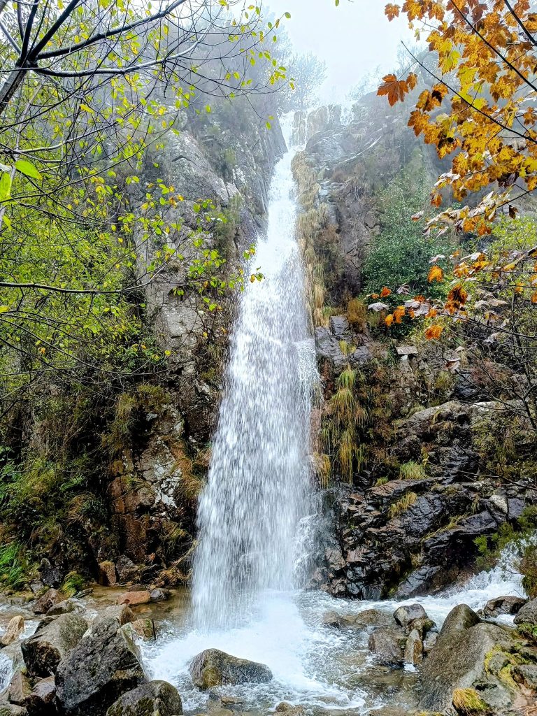 Redes sociais já mostram os bosques “encantados” do gerês no outono 12 Redes sociais já mostram os bosques “encantados” do gerês no outono