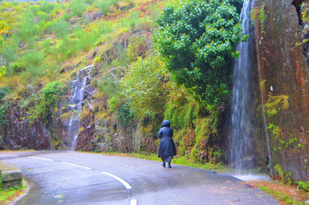 Redes sociais já mostram os bosques “encantados” do gerês no outono 34 Redes sociais já mostram os bosques “encantados” do gerês no outono
