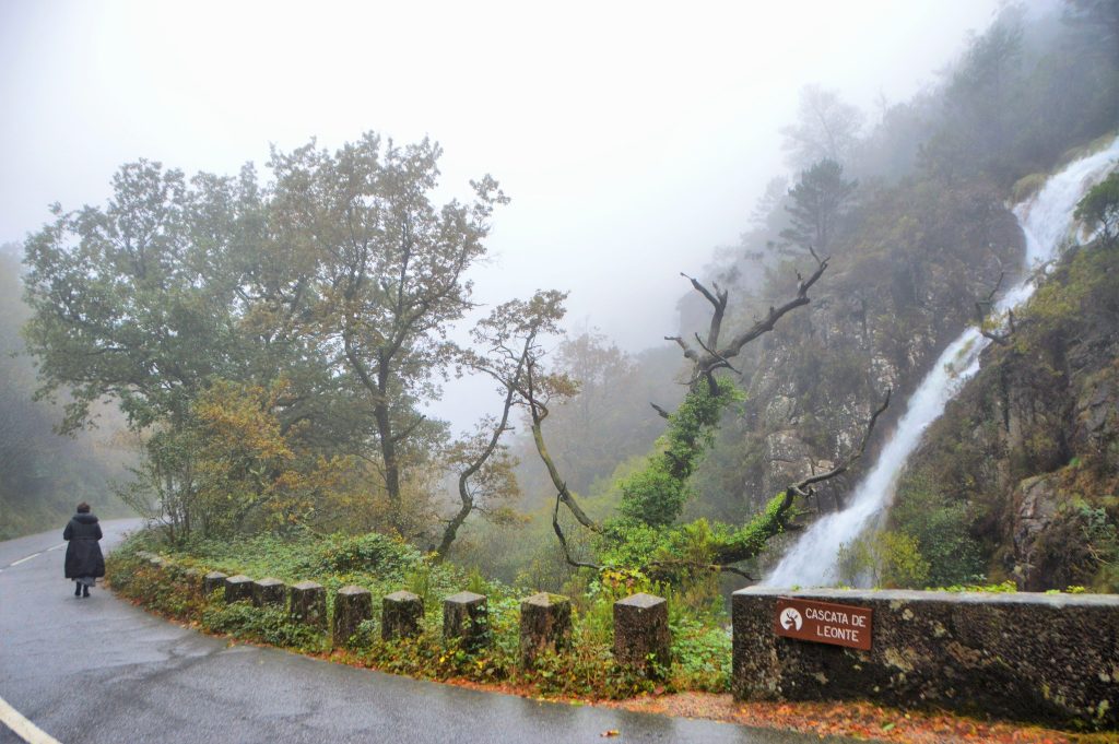 Redes sociais já mostram os bosques “encantados” do gerês no outono 33 Redes sociais já mostram os bosques “encantados” do gerês no outono