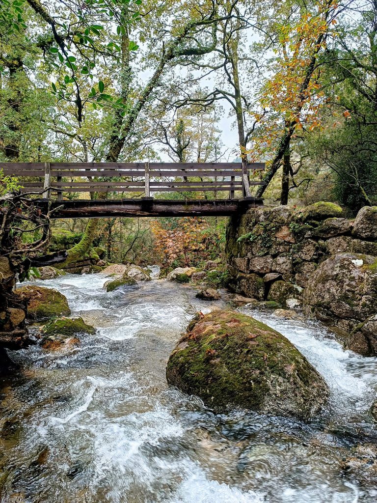Redes sociais já mostram os bosques “encantados” do gerês no outono 7 Redes sociais já mostram os bosques “encantados” do gerês no outono