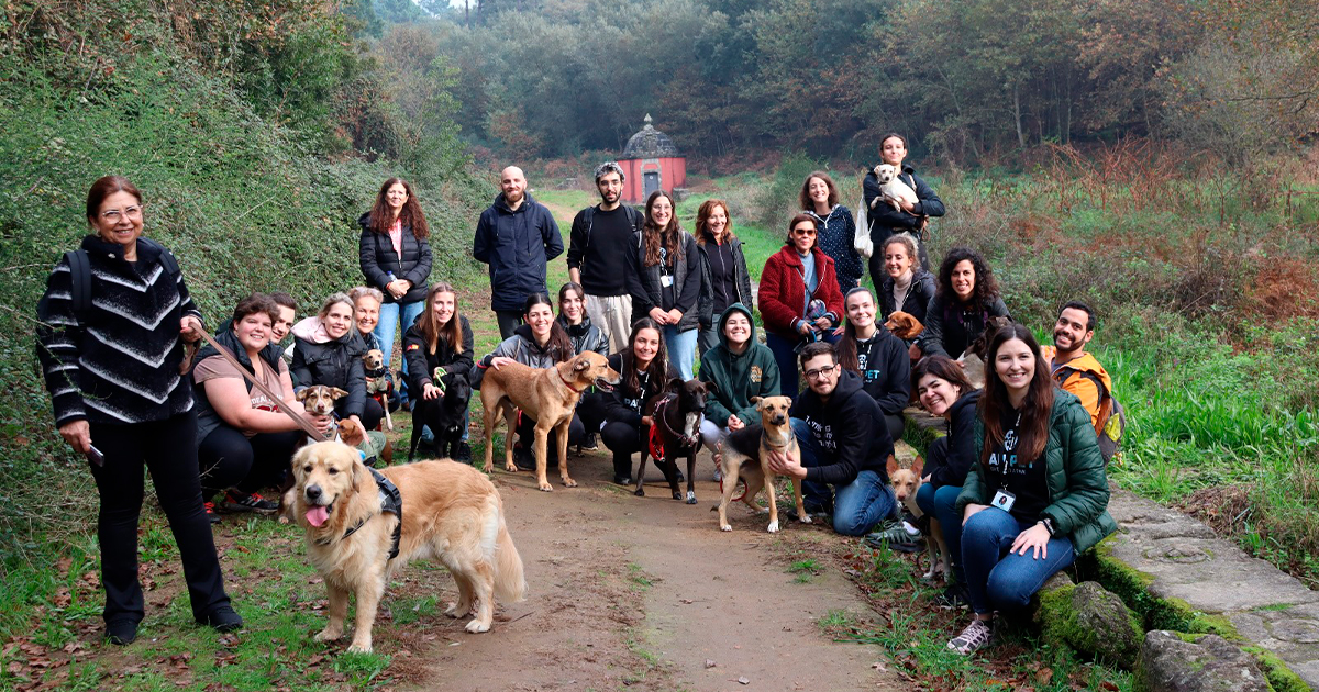 Dezenas em "cãominhada" solidária em braga
