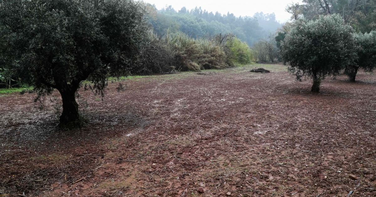 Venda de terrenos para construção ao estado ou autarquias isenta de mais-valias