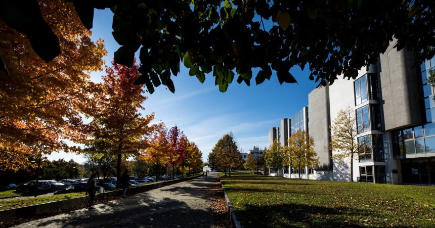 Universidade Do Minho é A Mais Sustentável Do País E Está Entre As ...