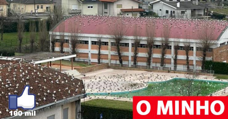 ominho.pt