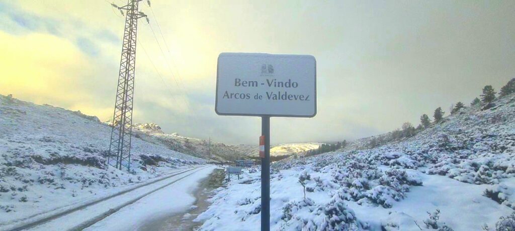 Hoje a peneda está assim