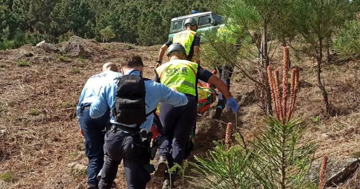 Sofre ferimentos graves na cabeça após queda no gerês