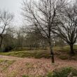 Braga classifica "voltas da macada", tramo da estrada real com 200 anos que antecedeu a en 14