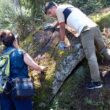 Pedreira da geira romana no gerês descoberta por estagiários