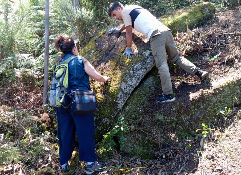 Pedreira da geira romana no gerês descoberta por estagiários 15 Pedreira da geira romana no gerês descoberta por estagiários
