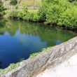 Homem picado na cabeça por abelhas em ponte da barca. Ficou em estado grave