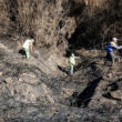 Governo aprova subsídio especial para prejuízos agrícolas provocados pelos incêndios até 6. 000 euros