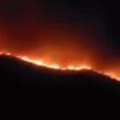 Incêndio em arcos de valdevez teve "origem criminosa", diz autarca
