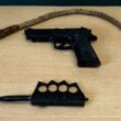 Psp recolheu 25 armas de fogo e 266 munições em julho