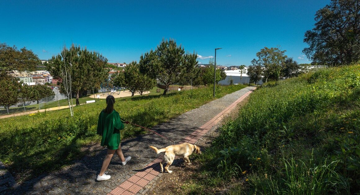 Este parque verde de 2,5 hectares na cidade de braga é finalista de prémio nacional