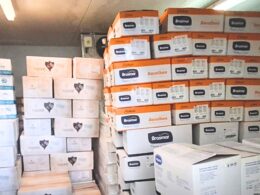 Asae apreende 17 toneladas de carne e encerra armazém ilegal em trás-os-montes