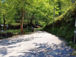 Esta estrada no gerês vai ser arranjada por 850 mil euros