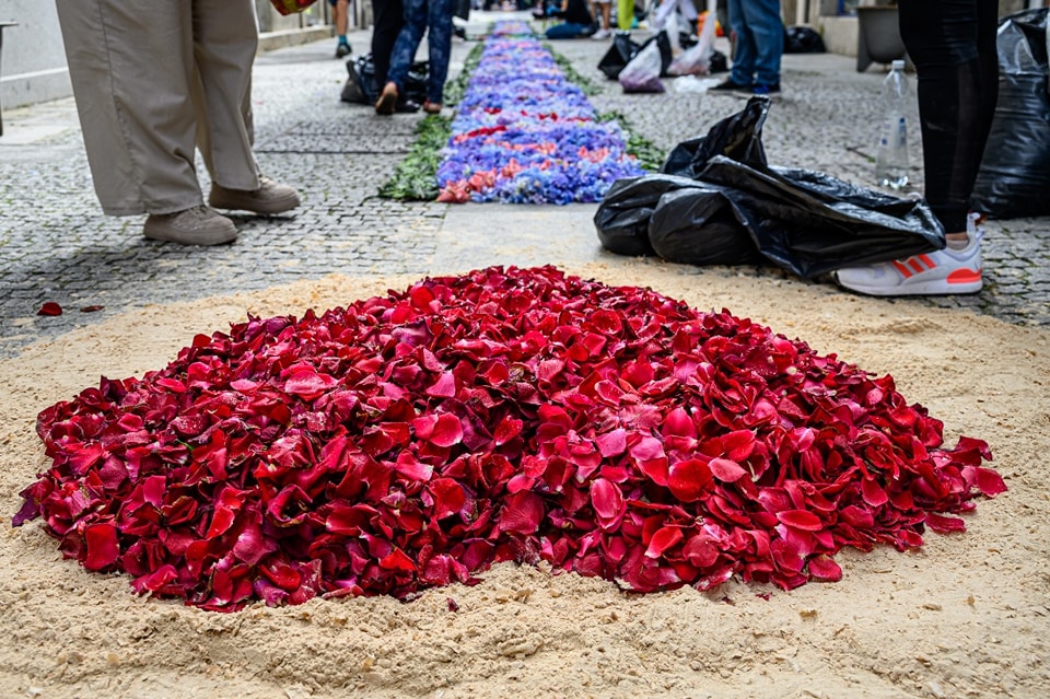Centenas embelezam ruas de viana do castelo com tapetes de flores 82 Centenas embelezam ruas de viana do castelo com tapetes de flores