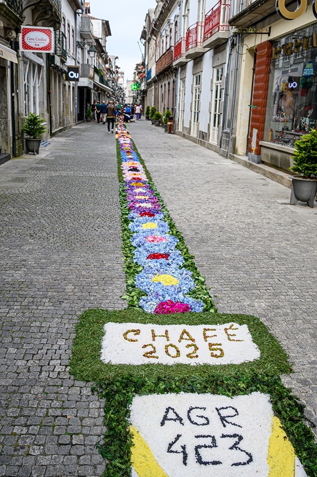 Centenas embelezam ruas de viana do castelo com tapetes de flores 80 Centenas embelezam ruas de viana do castelo com tapetes de flores