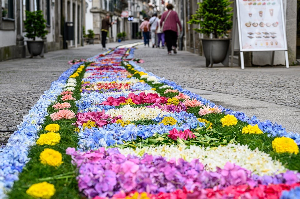 Centenas embelezam ruas de viana do castelo com tapetes de flores 78 Centenas embelezam ruas de viana do castelo com tapetes de flores