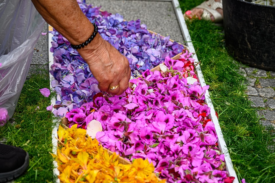 Centenas embelezam ruas de viana do castelo com tapetes de flores 77 Centenas embelezam ruas de viana do castelo com tapetes de flores