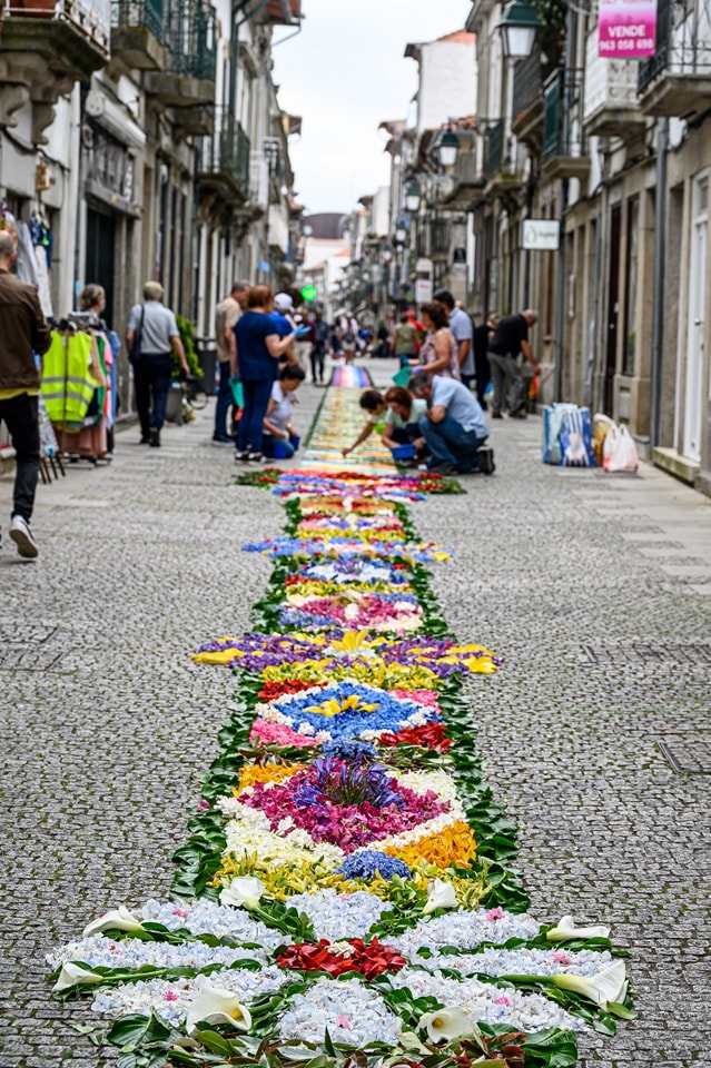 Centenas embelezam ruas de viana do castelo com tapetes de flores 71 Centenas embelezam ruas de viana do castelo com tapetes de flores