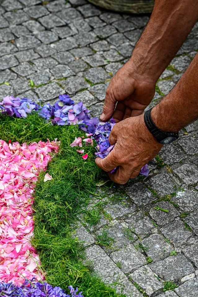 Centenas embelezam ruas de viana do castelo com tapetes de flores 60 Centenas embelezam ruas de viana do castelo com tapetes de flores