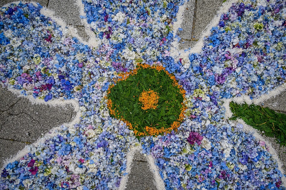 Centenas embelezam ruas de viana do castelo com tapetes de flores 59 Centenas embelezam ruas de viana do castelo com tapetes de flores