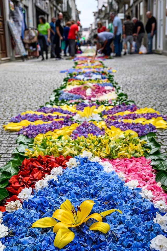 Centenas embelezam ruas de viana do castelo com tapetes de flores 51 Centenas embelezam ruas de viana do castelo com tapetes de flores