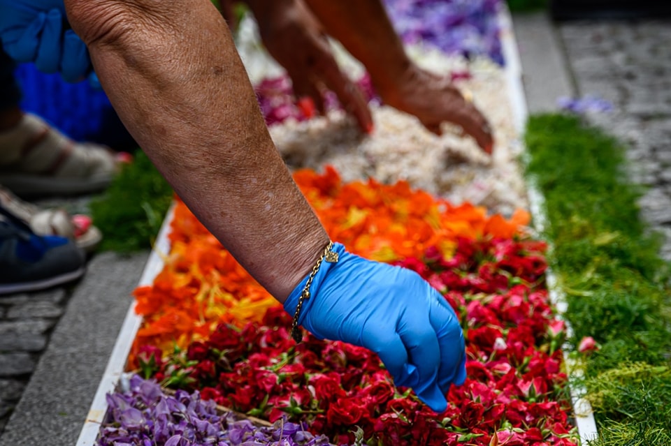 Centenas embelezam ruas de viana do castelo com tapetes de flores 37 Centenas embelezam ruas de viana do castelo com tapetes de flores