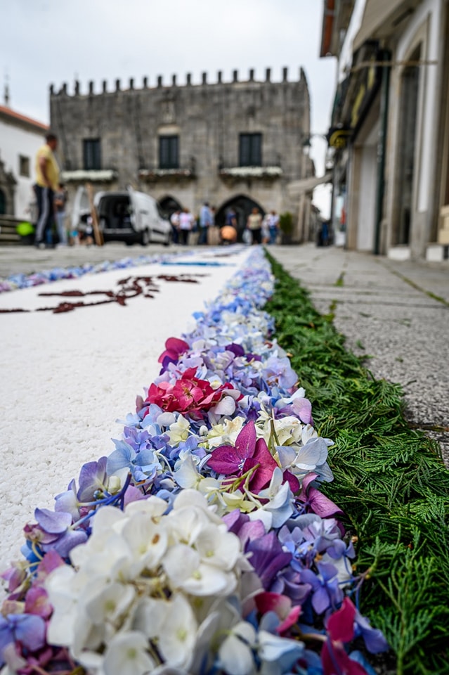 Centenas embelezam ruas de viana do castelo com tapetes de flores 35 Centenas embelezam ruas de viana do castelo com tapetes de flores