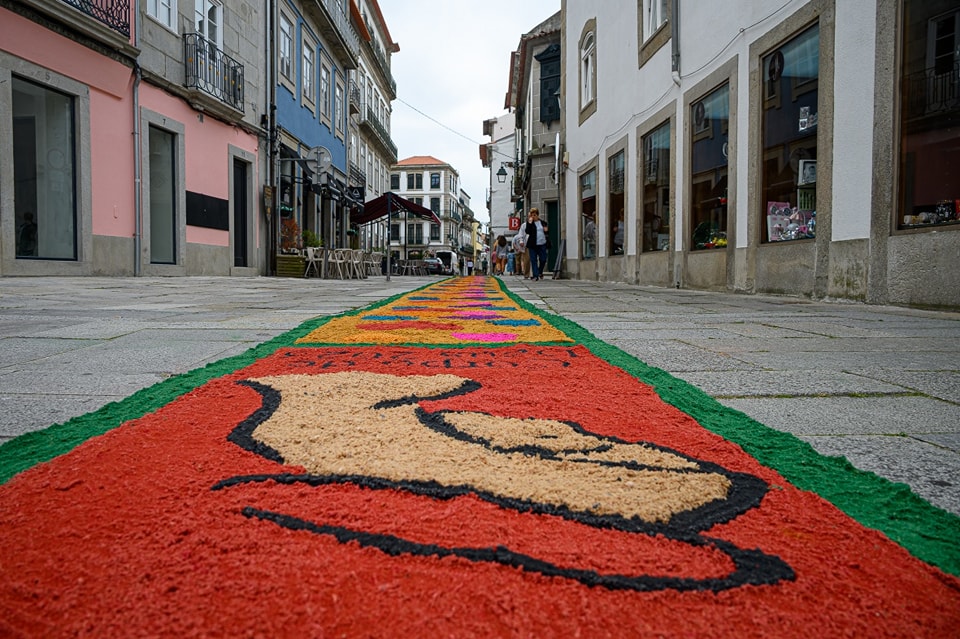 Centenas embelezam ruas de viana do castelo com tapetes de flores 33 Centenas embelezam ruas de viana do castelo com tapetes de flores